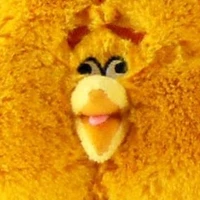 Puffy Bird's profile picture