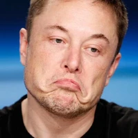 Elon Musk's picture