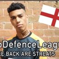 Niko Defense League's profile picture