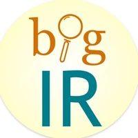 bigIR's profile picture