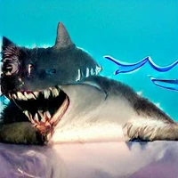Timothy Shark Cat IV's picture