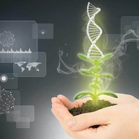 AgriGenomics's profile picture