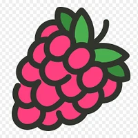 Raspberry AI's profile picture