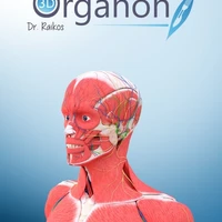 3D Organon Anatomy [key]'s picture