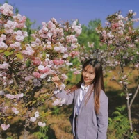 Tiffany Chen's profile picture
