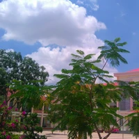 Hiep Phuoc Secondary School's profile picture