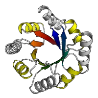 Protein Design Lab's profile picture