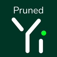 Pruned Yi's profile picture