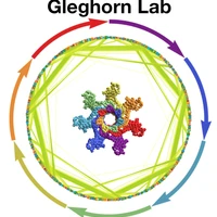 Gleghorn Lab's profile picture