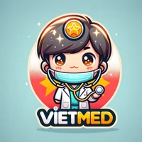 Vietnamese Medical LLM's profile picture