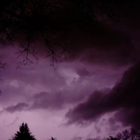 Midwestern Simulation's profile picture