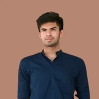 Ansh Tanwar's profile picture