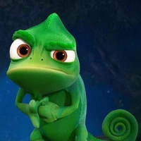 Pascal Wichmann's profile picture