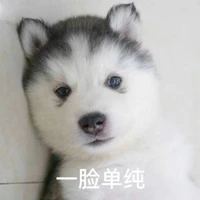 Jie Liu's profile picture