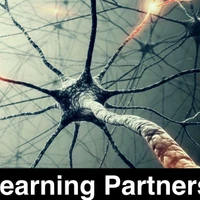 Deep Learning Partnership's profile picture