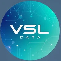 VSL Data Collection's profile picture