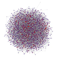 Biological and Engineering Networks Lab's profile picture