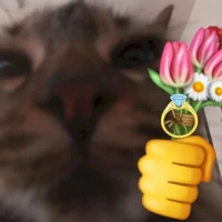 Meow Universe's profile picture