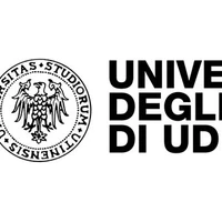 University of Udine, Italy's profile picture