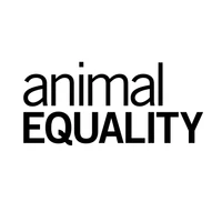 Animal Equality's profile picture