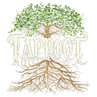 Taproot AI's profile picture