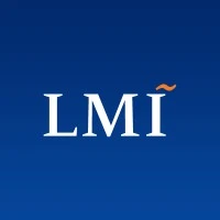 LMI Consulting, Inc.'s profile picture