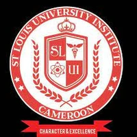 St Louis Engineering Department's profile picture