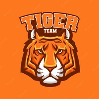 Services Operations Tiger Team's profile picture