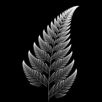 Enguerrand Paquin's profile picture