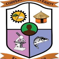 The COPPERBELT UNIVERSITY - MCS SOM's profile picture