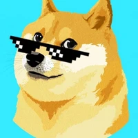 shibainu24's profile picture