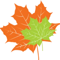 MapleSage Pvt. Ltd's profile picture