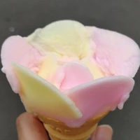 Kenshi Yamaguchi's profile picture