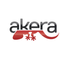 Akera Software Engineering's profile picture
