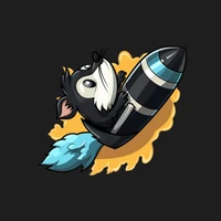 SkunkworksAI's profile picture