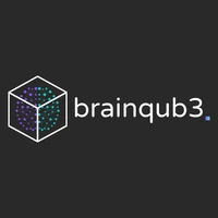 Brainqub3's profile picture