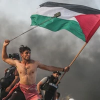 Palestine's profile picture