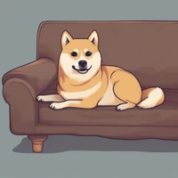 Sir Doge's profile picture