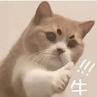 yuming chen's picture