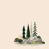 Camerart's profile picture