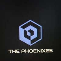The Phoenixes's profile picture