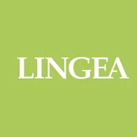 Lingea's profile picture
