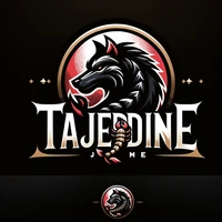 Tajeddine Bourhim's profile picture