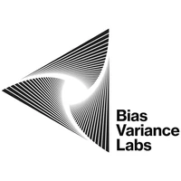 Bias Variance Labs's profile picture