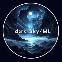 DarkSkyML's profile picture