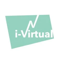 i-Virtual's profile picture