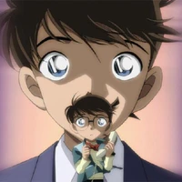 Dongcheng Zhao's profile picture