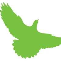 Green Bird Media's profile picture
