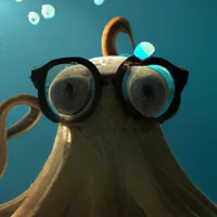 Coding Kelps's profile picture