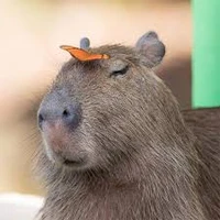 Ecohackathon team capybarAI's profile picture